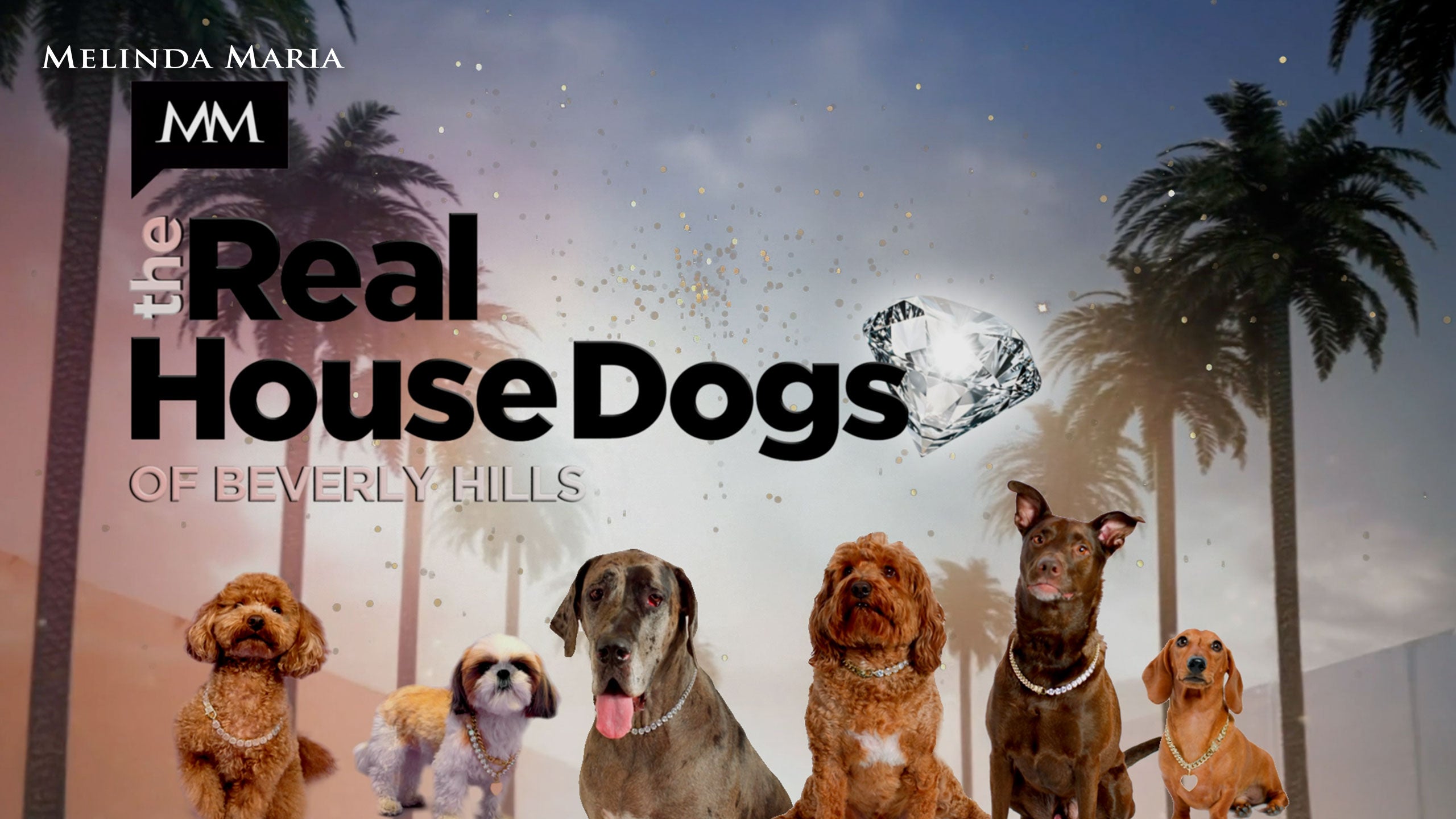 MM the Real House Dogs of Beverly Hills