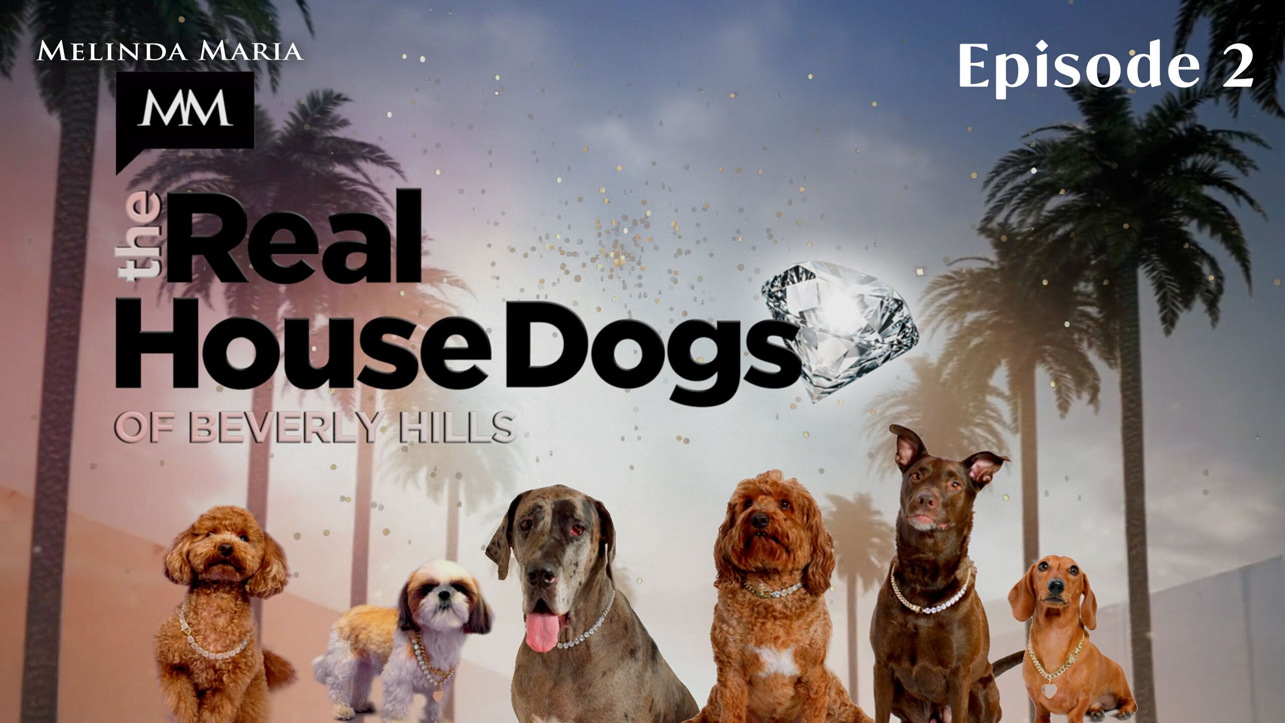 Behind the Drop: MM Pets Episode 2