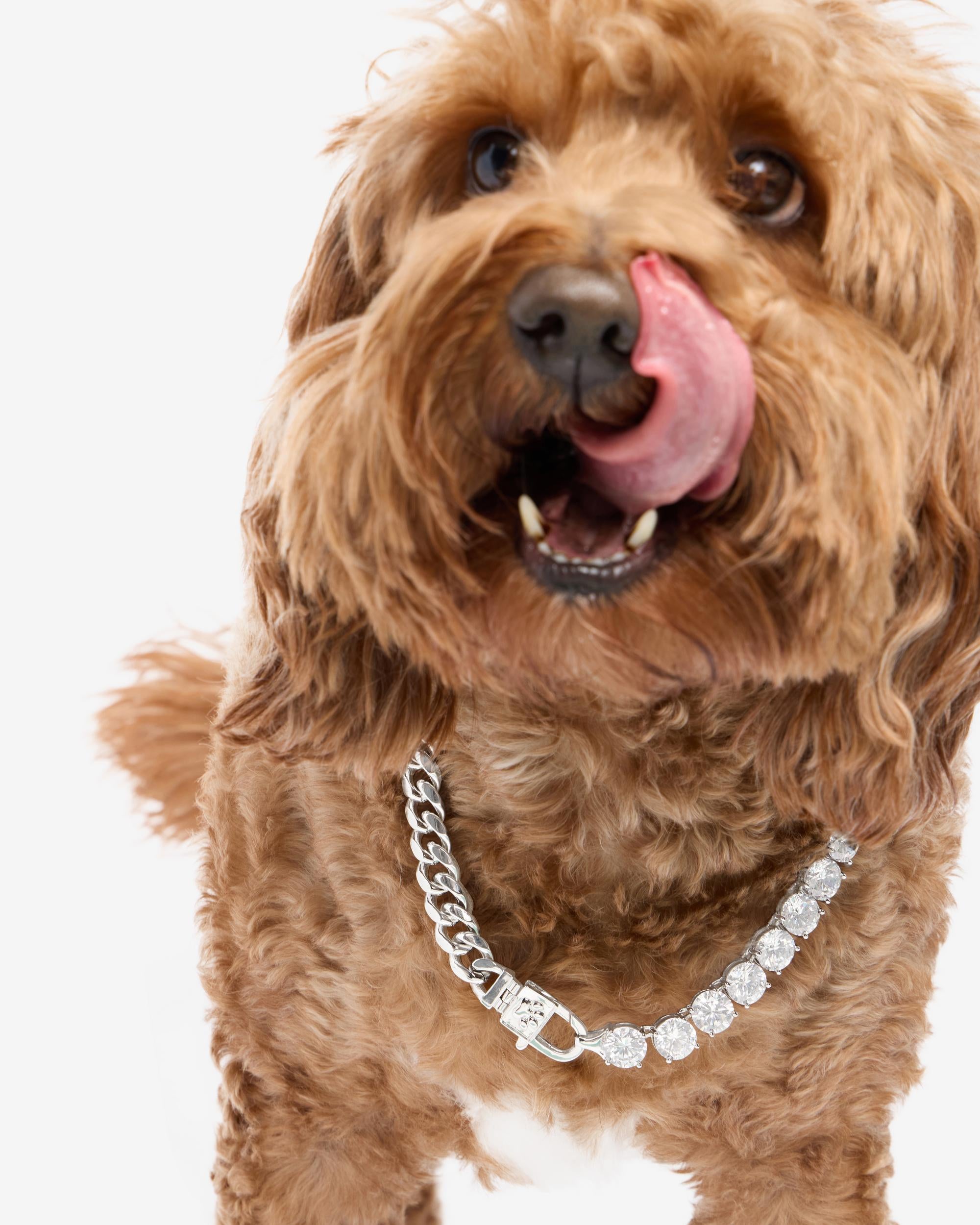 Thor Loves Diamonds Pet Necklace - Silver|White Diamondettes