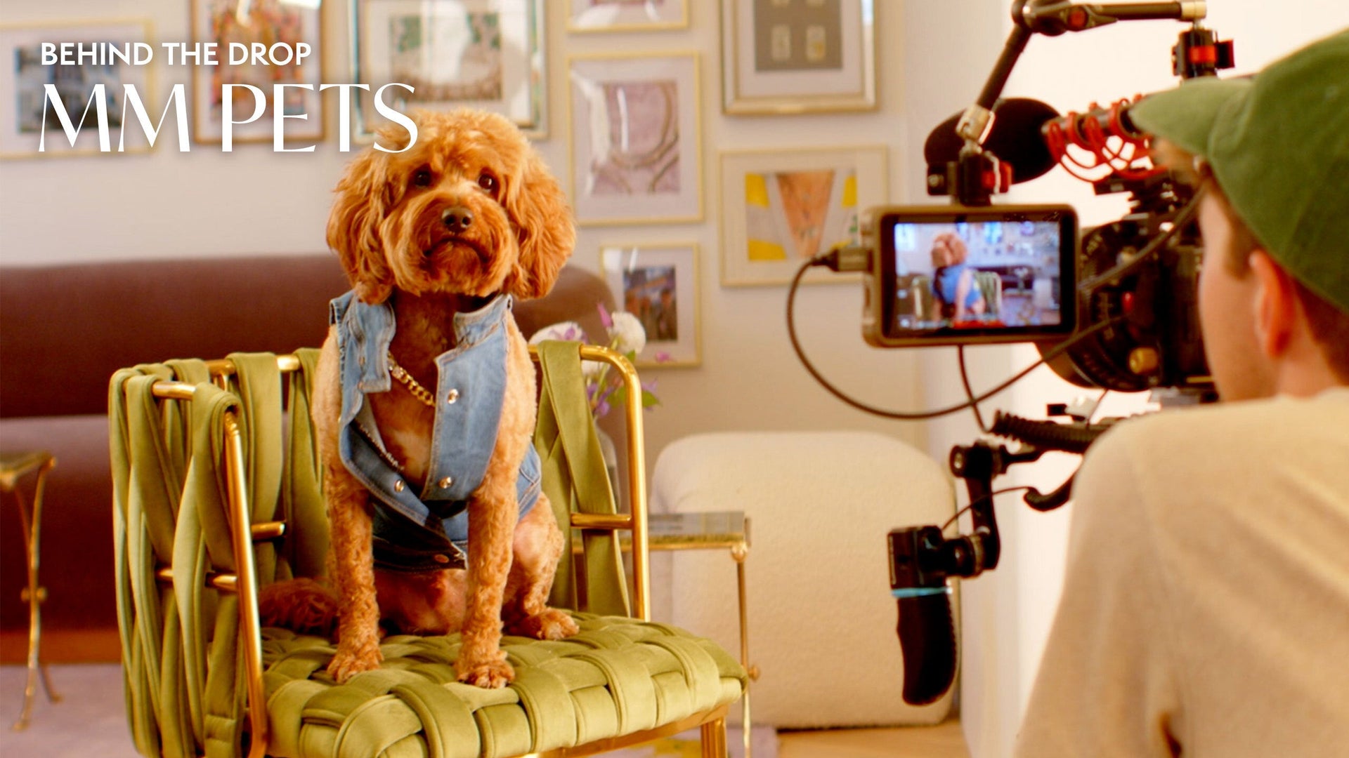 Behind the Drop: MM Pets