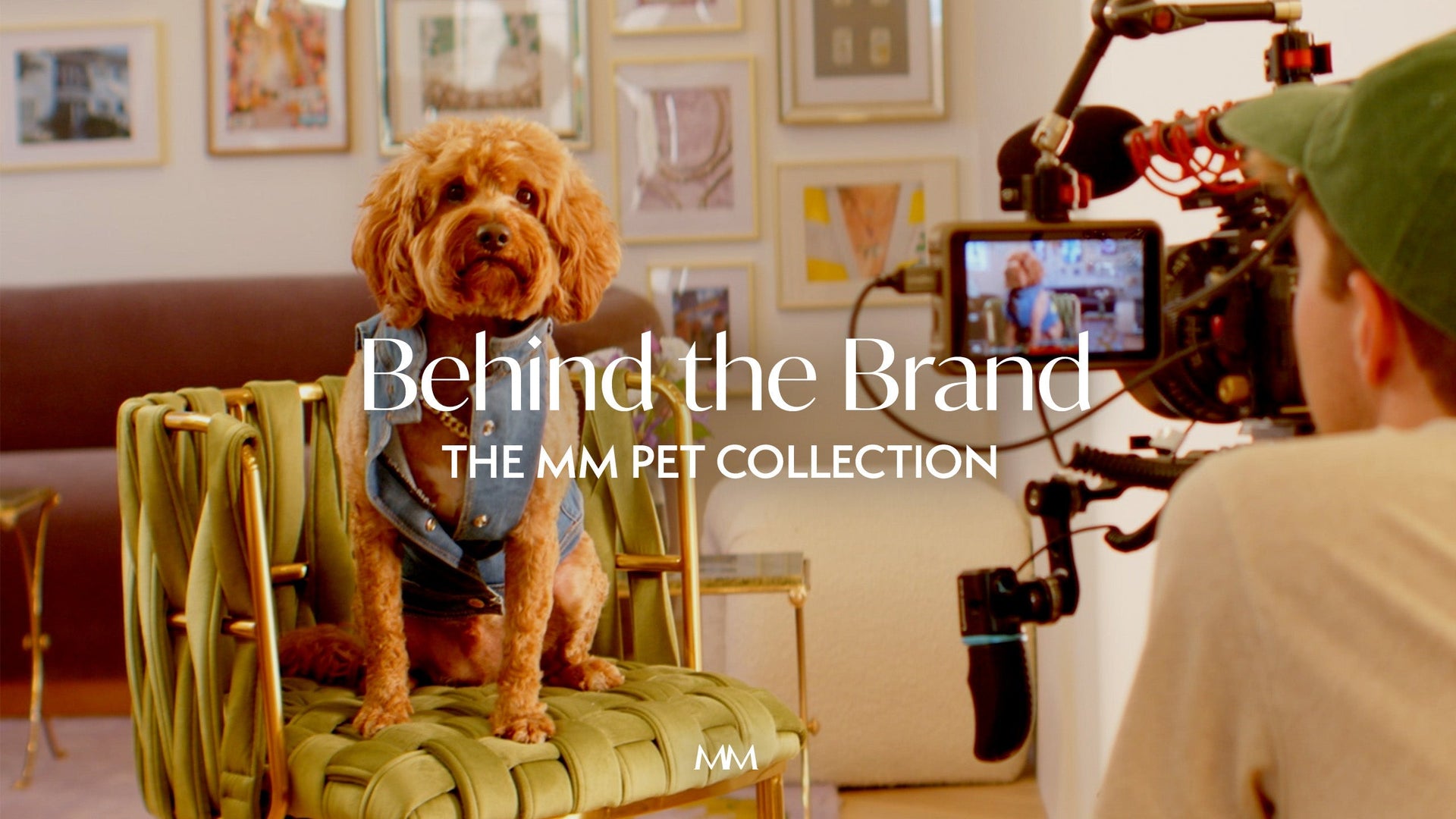 The MM Pet Collection
