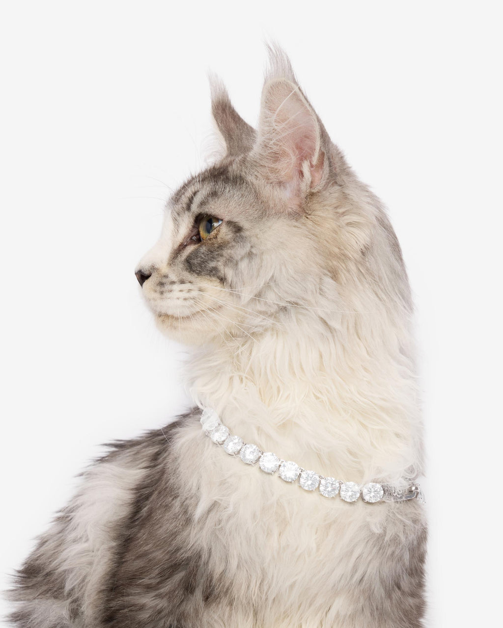 Royal Pet Tennis Necklace - Silver|White Diamondettes