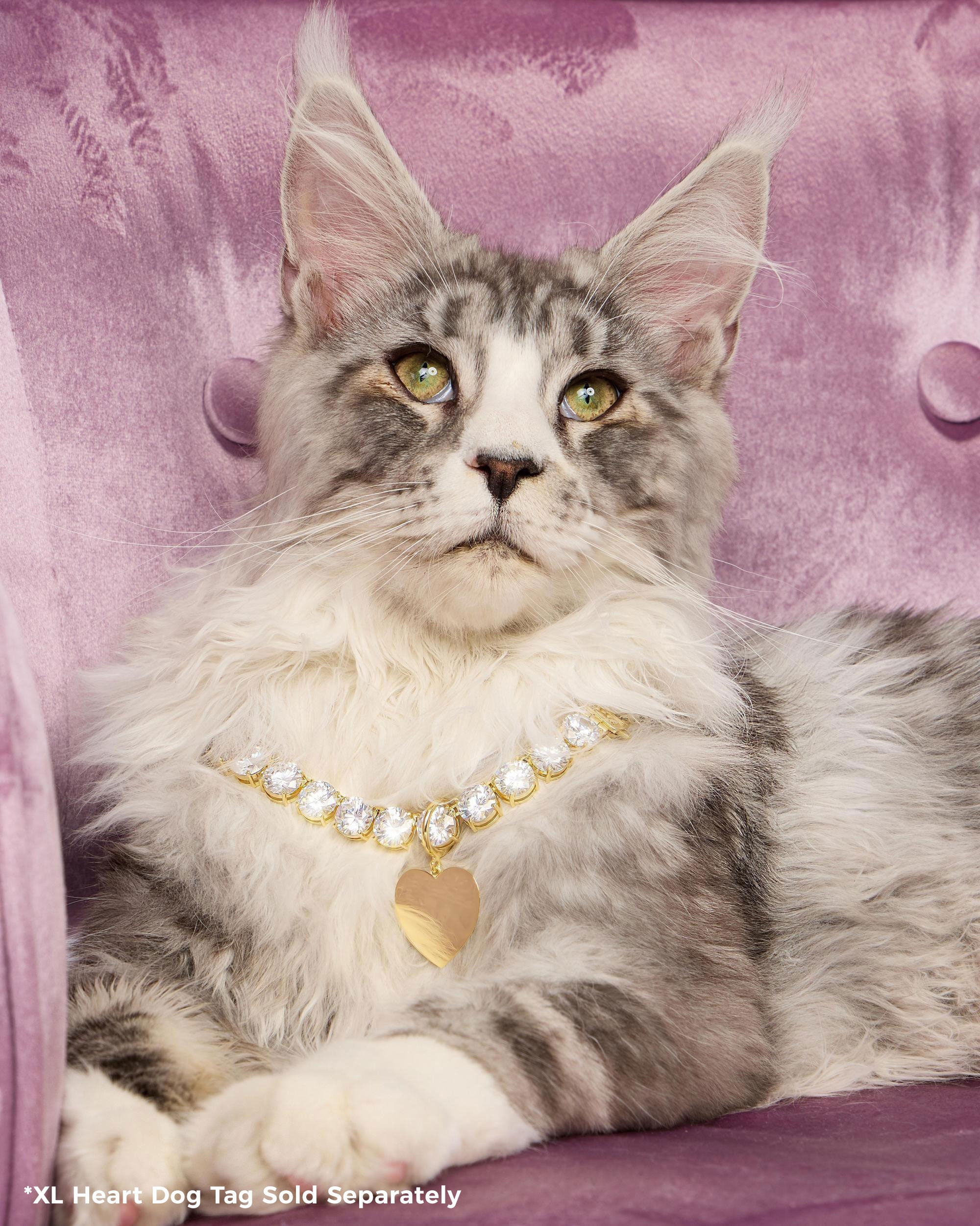 Royal Pet Tennis Necklace - Gold|White Diamondettes
