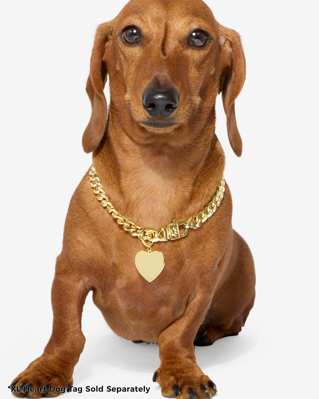 XL Heart Engravable Dog Tag - Gold