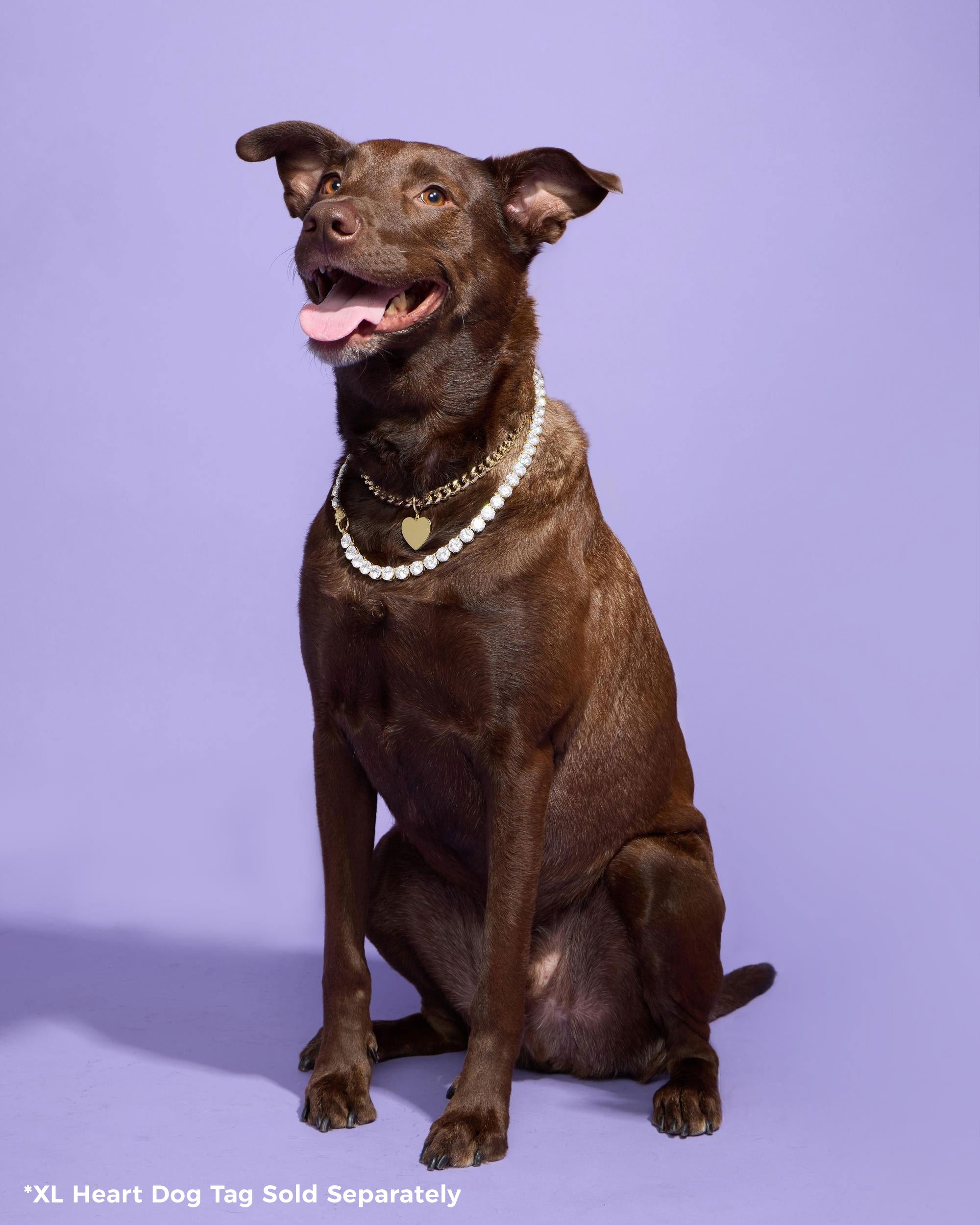 XL Heart Engravable Dog Tag - Gold