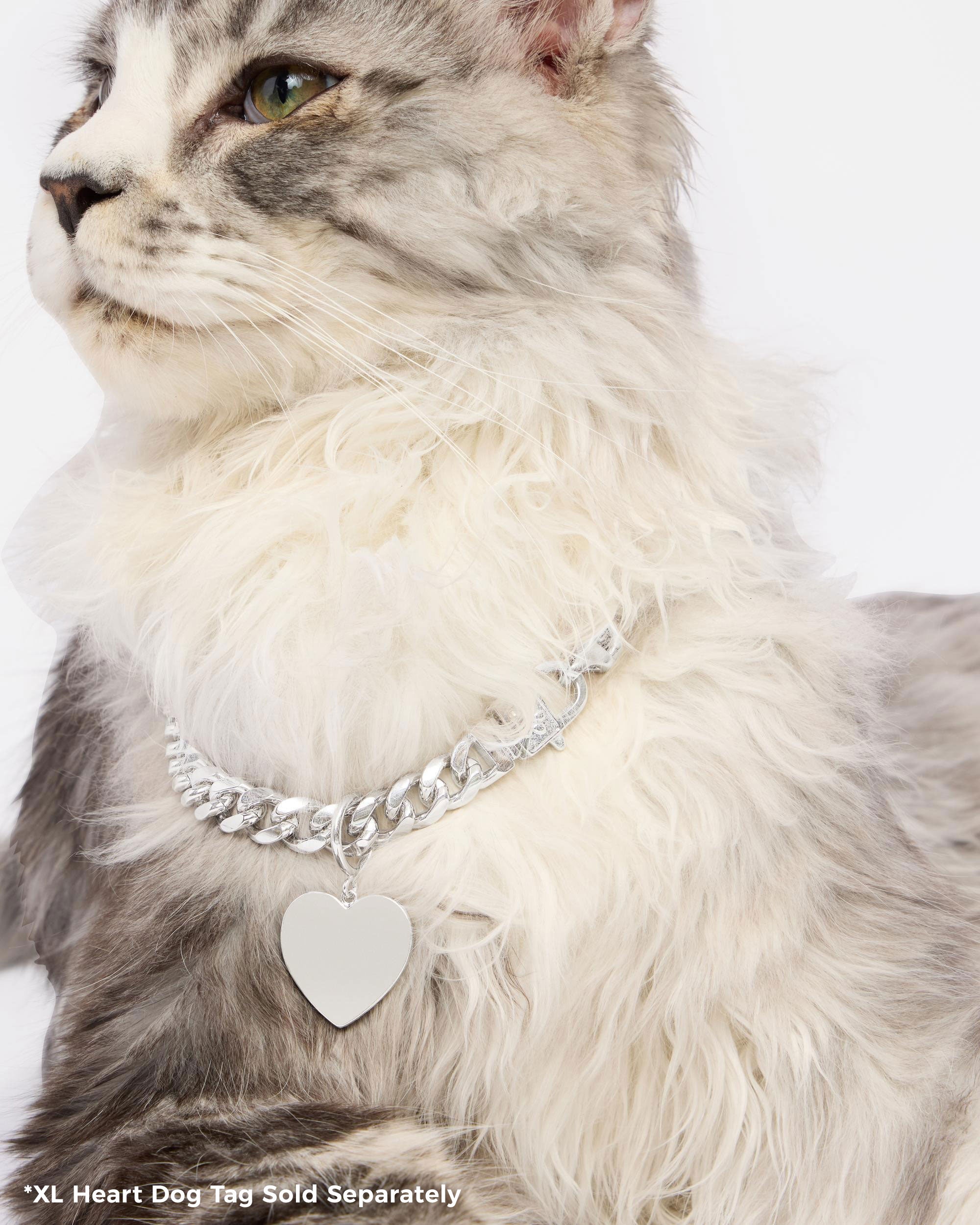 XL Heart Engravable Dog Tag - Silver