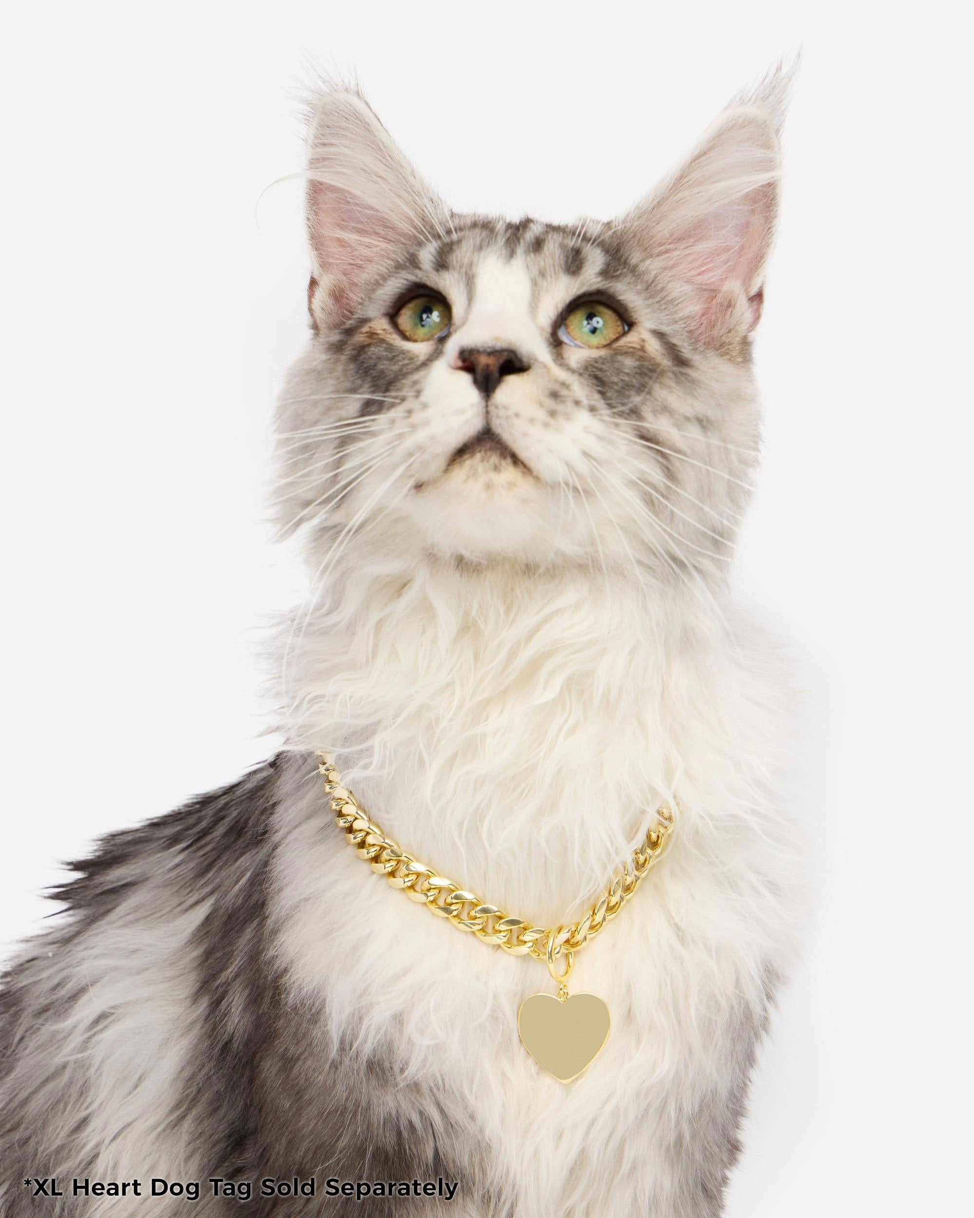 XL Heart Engravable Dog Tag - Gold