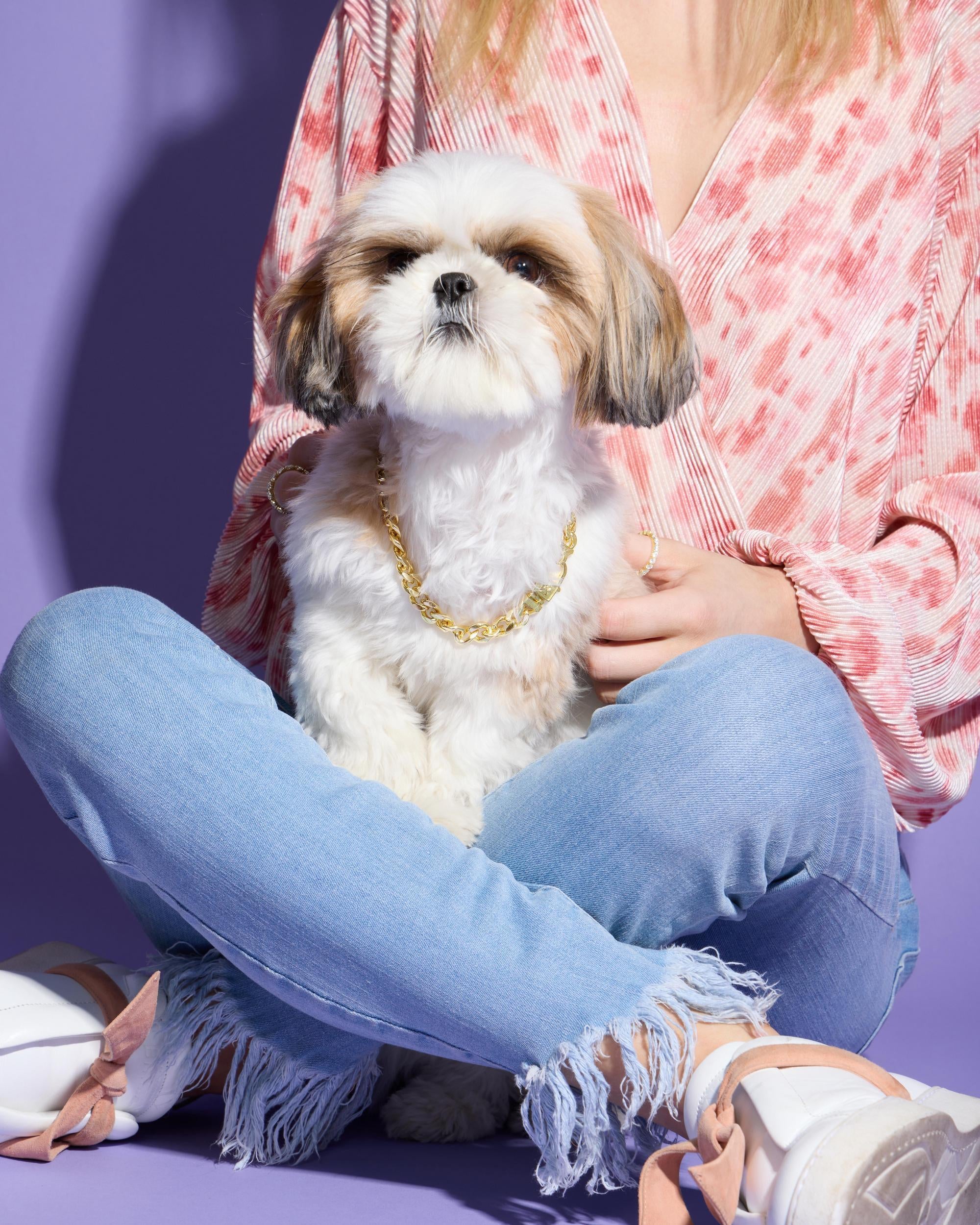 Thor Cuban Chain Pet Necklace 10.8mm - Gold